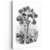 Design - Zwart wit - Natuur canvas 2cm klein -z3d