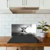 Schotse Hooglander - Spaghetti - Dieren - Zwart wit keuken achterwand spatscherm klein -sfeer2