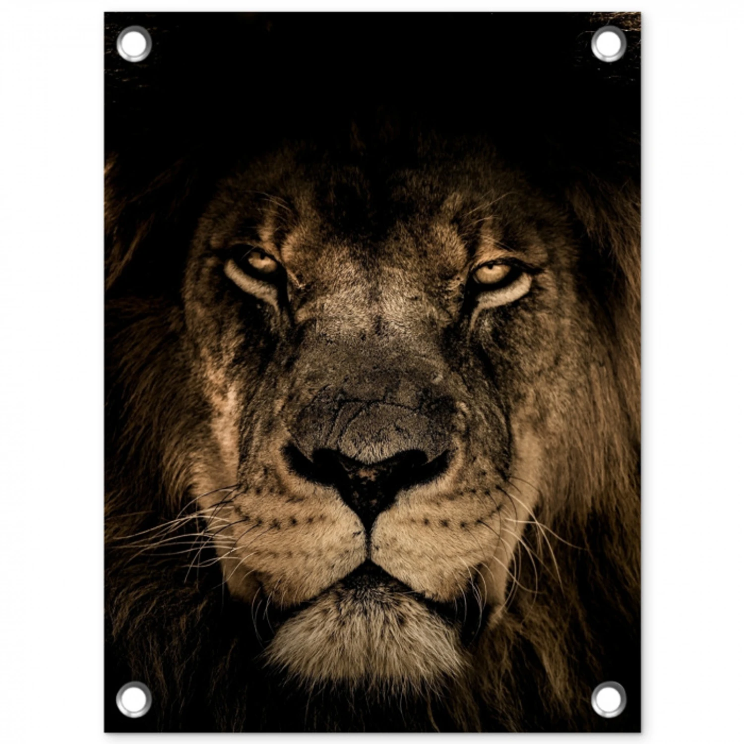 Leeuw in het schaduwlicht tuinposter los doek klein -3d