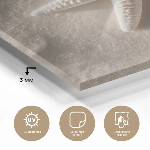 Strand - Zeester - Zand - Beige plexiglas 5mm klein -sfeer2