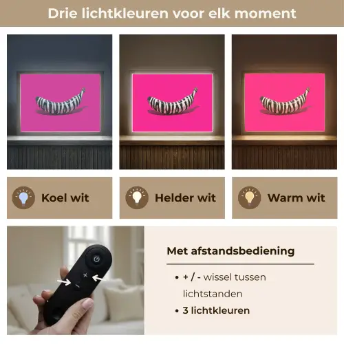 Banaan - Zebraprint - Roze Light Box met batterij (Wandlamp) middel -USP_lichtkleurNL
