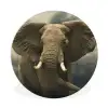 Afrikaanse olifant tegen de donkere wolken Wandcirkel kunststof plaat 5mm dik groot -3d