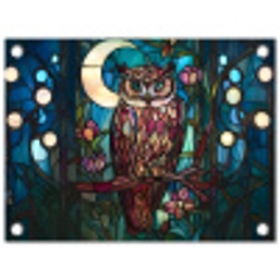 Uil - Mozaïek - Maan - Nacht tuinposter los doek klein -3d