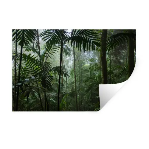 Regenwoud - Tropisch - Jungle - Bomen - Planten Muursticker klein -3d