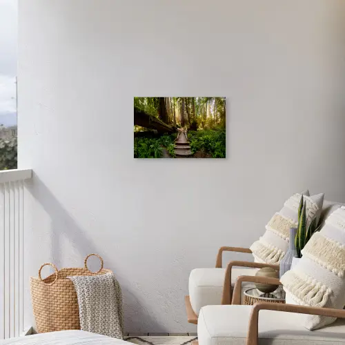 Jungle - Natuur - Trap - Bomen Tuinposter op houten frame 2 cm dik klein -sfeer1
