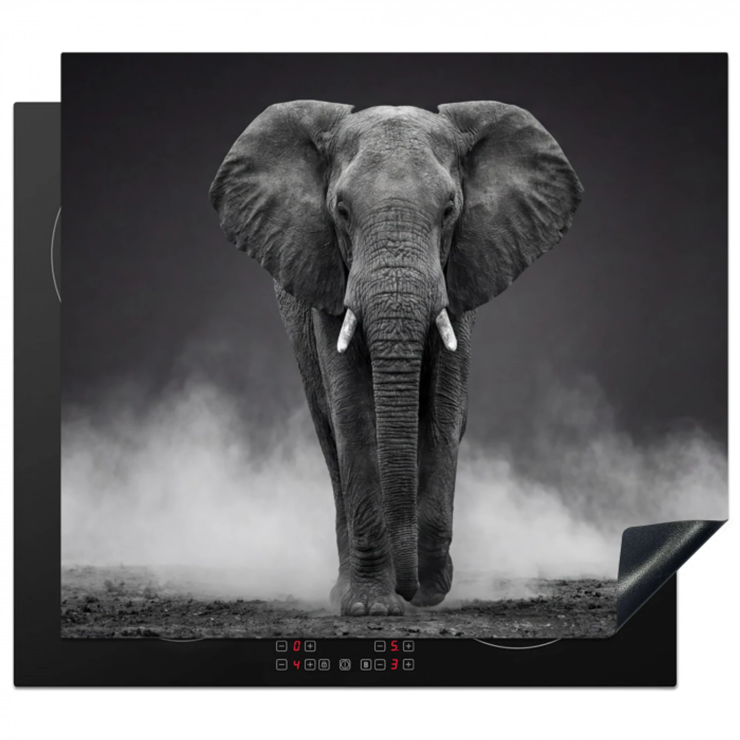 Olifant - Zwart - Wit - Rook Inductie beschermer vinyl 3mm middel -3d
