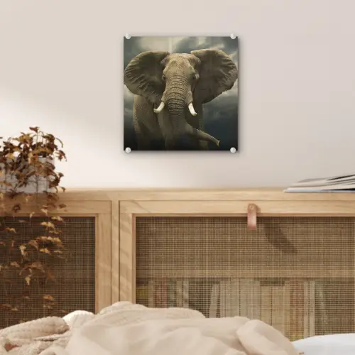 Afrikaanse olifant tegen de donkere wolken plexiglas 5mm klein -sfeer4