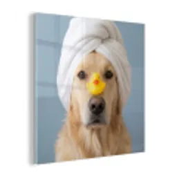 Hond - Badeend - Geel plexiglas 5mm klein -z3d