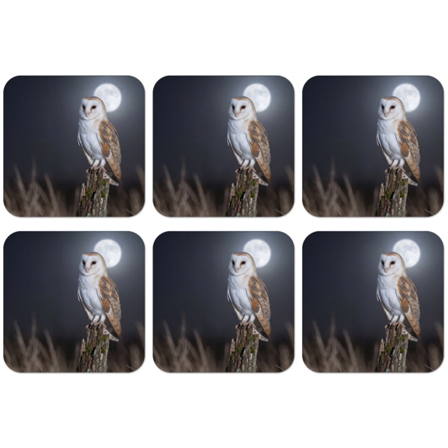 Kerkuil - Maan - Nacht onderzetter kurk middel -zkaufland3dotto