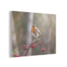 Roodborst - Tak - Bessen - Natuur PET vilt klein -3d