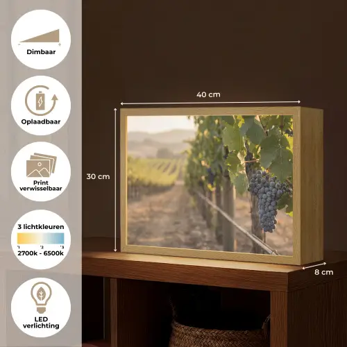 Druiven - Wijngaard - Zonlicht Light Box met batterij (Wandlamp) middel -USP_websiteoverzichtNL