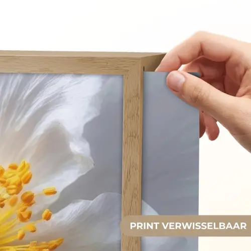 Wit - Bloem - Elegant Light Box met batterij (Wandlamp) middel -USP_websiteprintNL