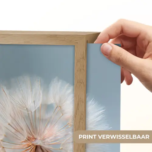 Paardenbloemen - Pluisjes - Wit Light Box met batterij (Wandlamp) middel -USP_websiteprintNL