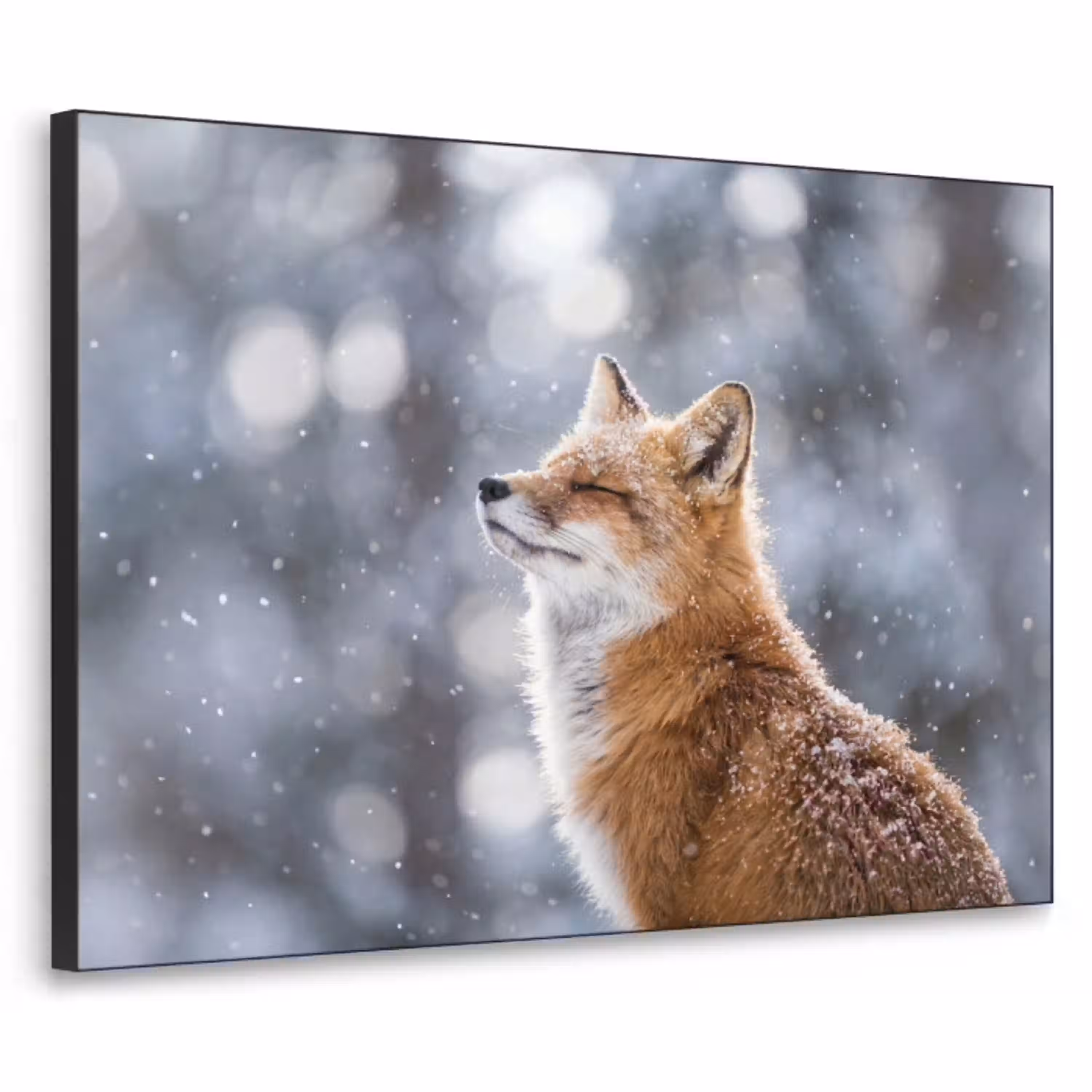 Vos - Sneeuwval - Portret - Winter - Sfeervol Textielframe zwart klein -3d