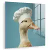 Eend - Koksmuts - Cute - Vogel plexiglas 5mm klein -zzzproduct_nieuw