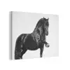 Fries - Hengst - Modern PET vilt klein -3d