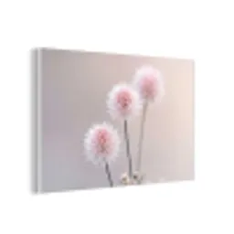 Bloemen - Bollen - Roze forex 5mm xxl -3d