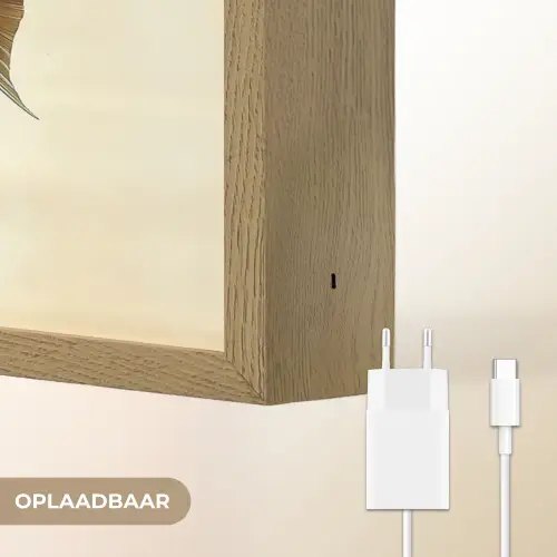 Schubben - Vis - Mint - Minimalistisch Light Box met batterij (Wandlamp) middel -USP_websiteoplaadbaarNL