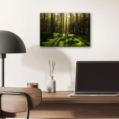 Bomen - Bos - Mos - Planten - Zon - Natuur aluminium wit klein -sfeer5