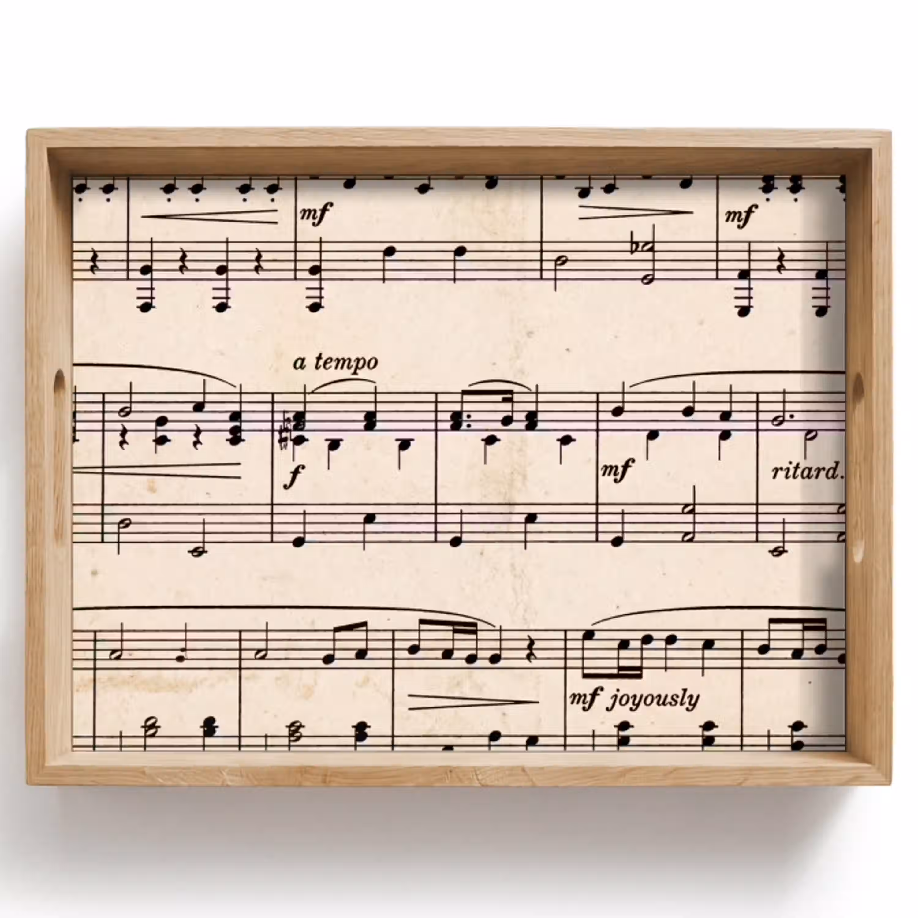 Muzieknotatie - Notenbalken - Kunst - Klassiek - Beige Dienblad Rechthoek middel -z3d_shopping