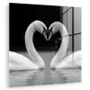Zwanen - Hart - Zwart - Wit plexiglas 5mm klein -zzzproduct_nieuw