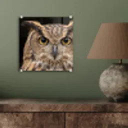 Oehoe - Uil - Portret - Bruin plexiglas 5mm klein -sfeer3