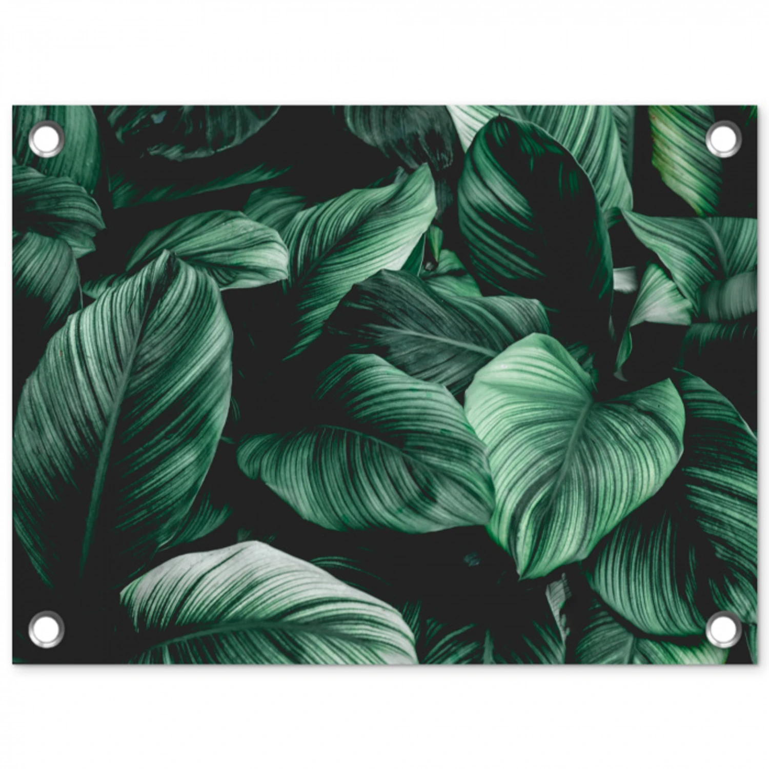 Jungle - Bladeren - Tropisch - Planten - Natuur tuinposter los doek klein -3d