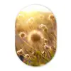 Planten - Natuur - Bloemen Wandcirkel Ovaal Forex klein -3d