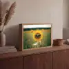 Zonnebloem - Veld - Zonnebril Light Box met batterij (Wandlamp) middel -sfeer2