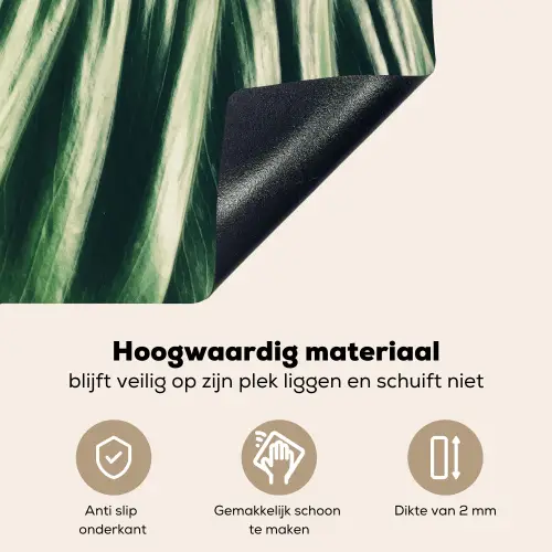 Palmblad - Tropisch - Natuur - Jungle Inductie beschemer met haakjes klein -ky-onderkant-nl