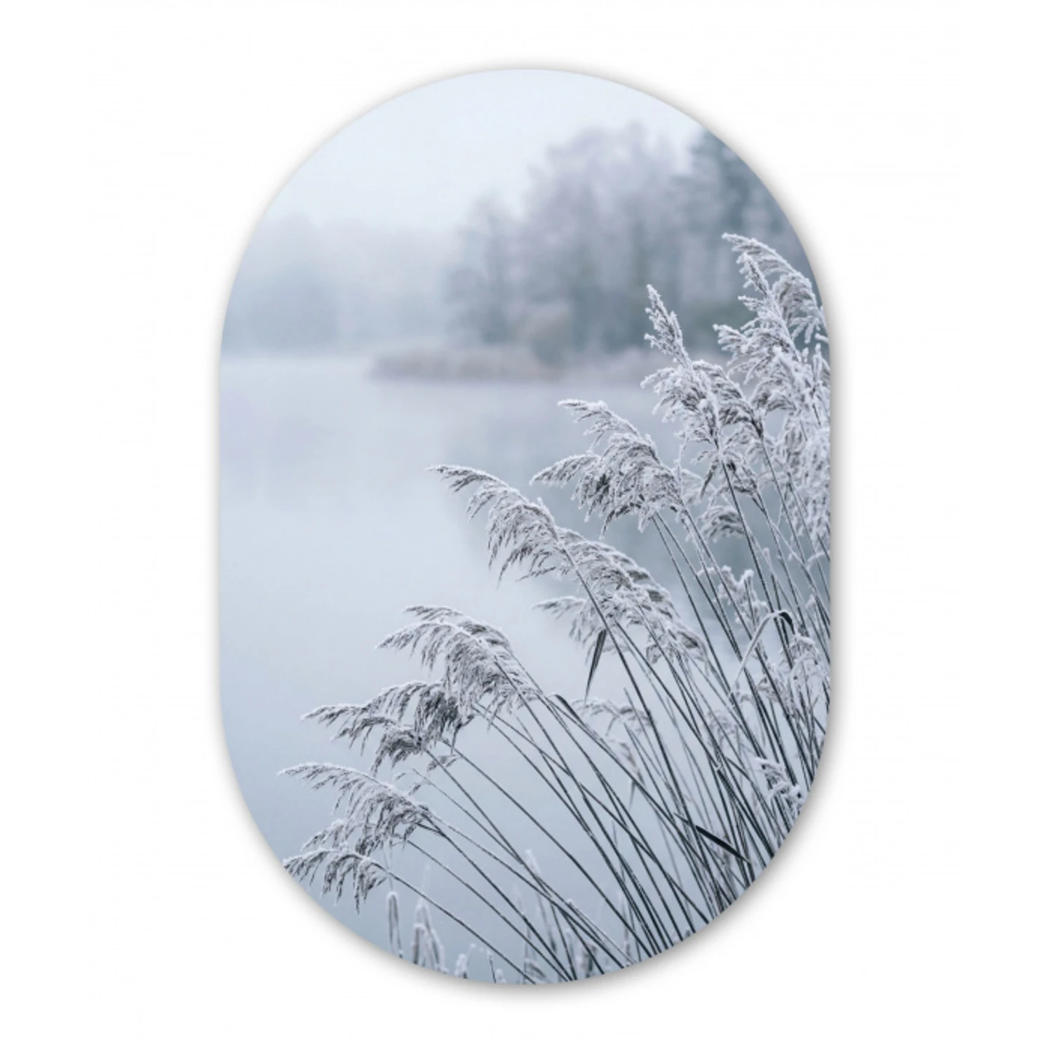 Riet - Bevroren - Winter - Natuur Wandcirkel Ovaal Aluminium middel -3d