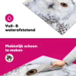 Sneeuwuil - Oog - Wildlife - Wit Inductie beschermer vinyl 3mm klein -wsfeer6_website