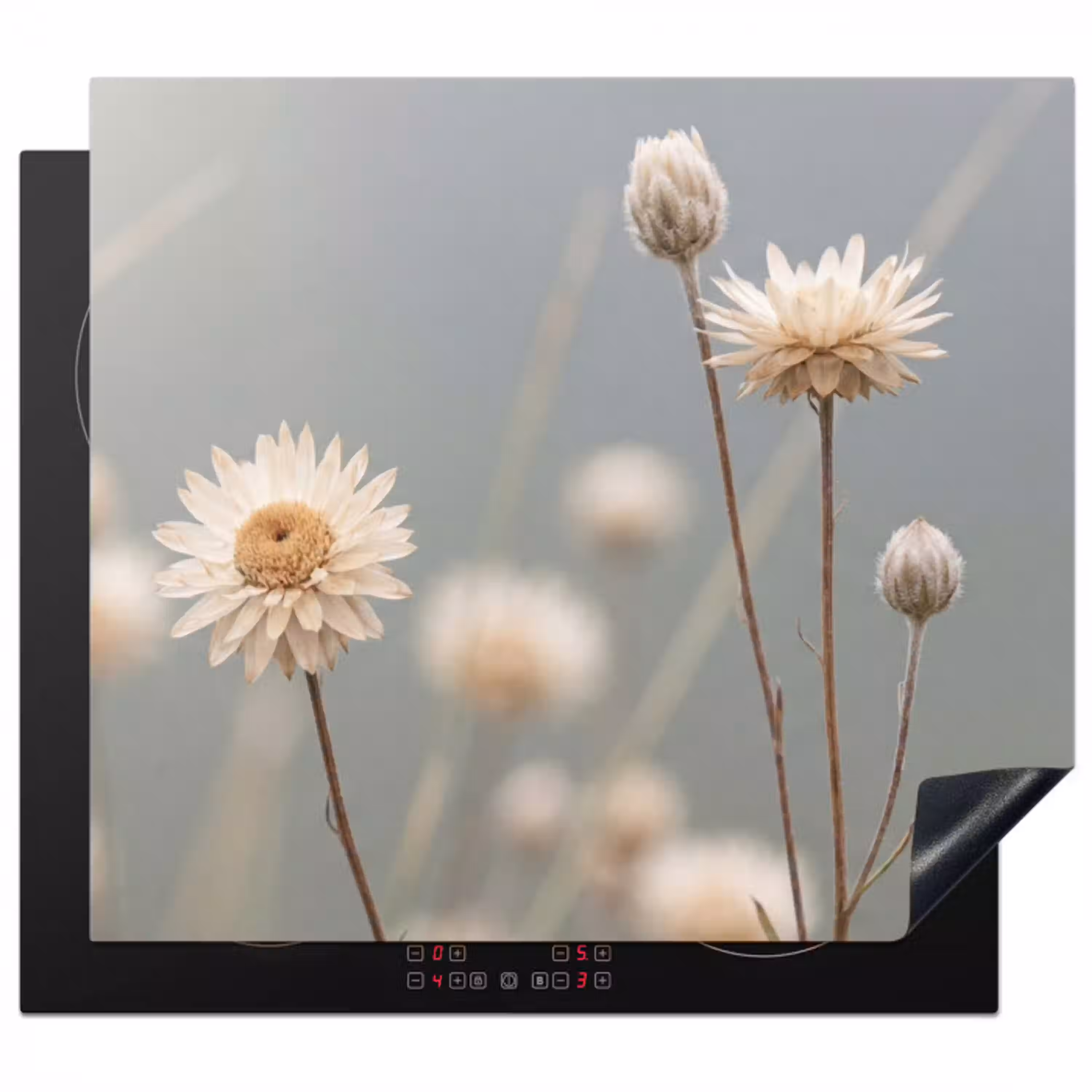 Strobloemen - Wit - Daglicht Inductie beschermer vinyl 3mm middel -3d
