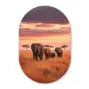 Groep olifanten - Open vlakte - Zon Wandcirkel Ovaal Forex klein -3d