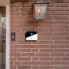 Zwart wit - Huisdier - Jack Russel Naambord Rechthoek middel -sfeer7-rechthoek-S