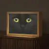 Kat - Zwart - Dieren - Natuur Light Box met kabel (Tafellamp) klein -z3d_website