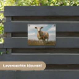 Schaap - Bloemen - Weide tuinposter los doek klein -sfeer3