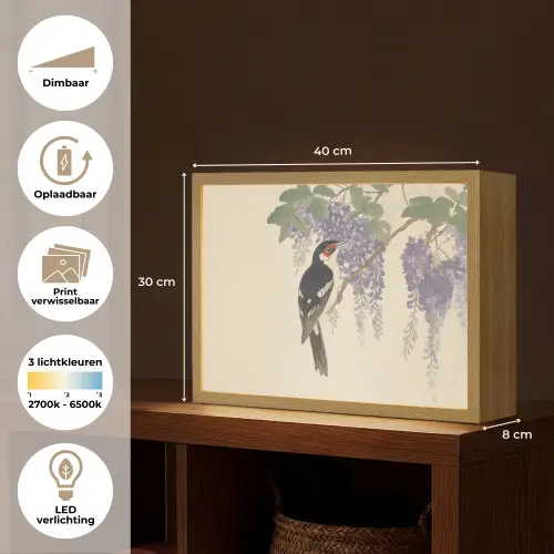 Specht - Bloemen - Paars Light Box met batterij (Wandlamp) middel -USP_websiteoverzichtNL
