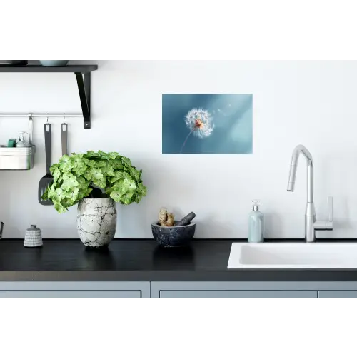 Paardenbloem - Wind - Blauw Muursticker klein -keuken