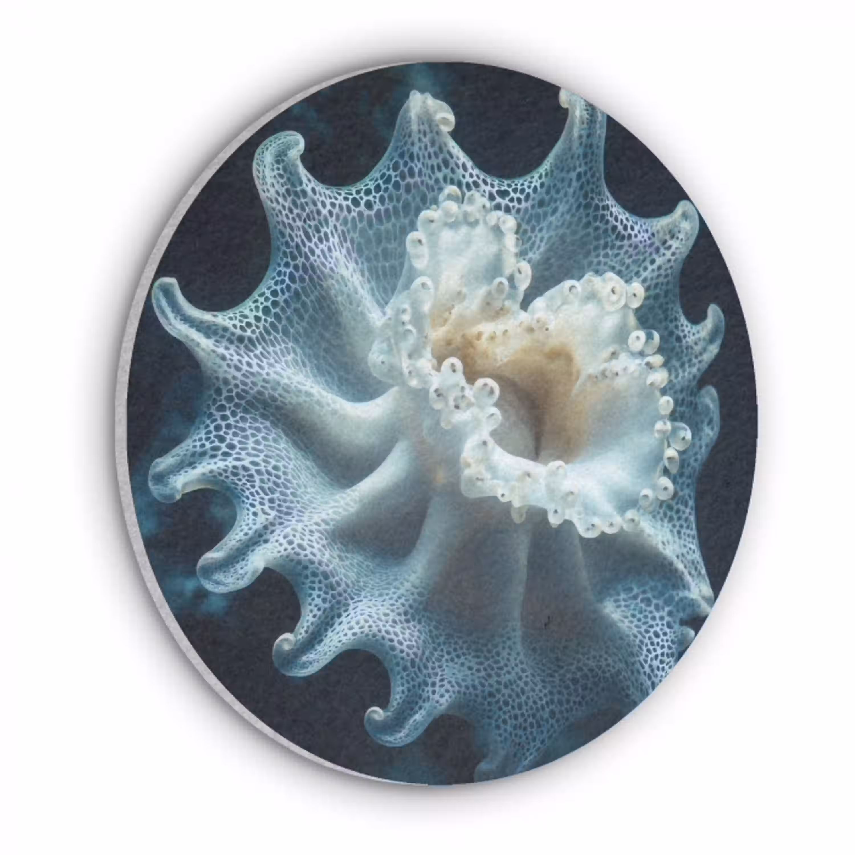 Zeewezen - Wit - Golven - Water Akoestische PET Vilt - Rond klein -3d