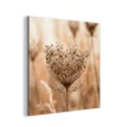 Schermbloem - Droogbloem - Winter - Beige - Minimalistisch aluminium wit klein -3d