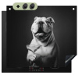 Buldog - Hond - Glas Inductie beschemer met haakjes middel -3d