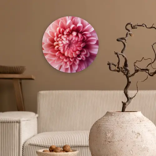 Dahlia - Bloem - Close up - Roze Wandcirkel kunststof plaat 5mm dik klein -sfeer1