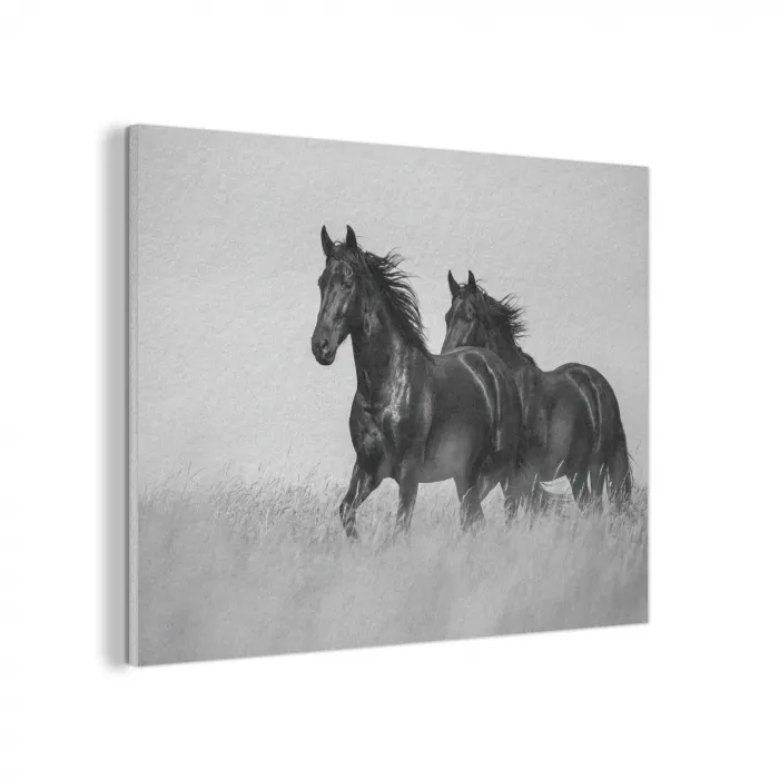 Paarden - Gras - Zwart - Wit PET vilt klein -3d