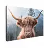 Schotse hooglander - Bergen - Portret canvas 2cm klein -z3d