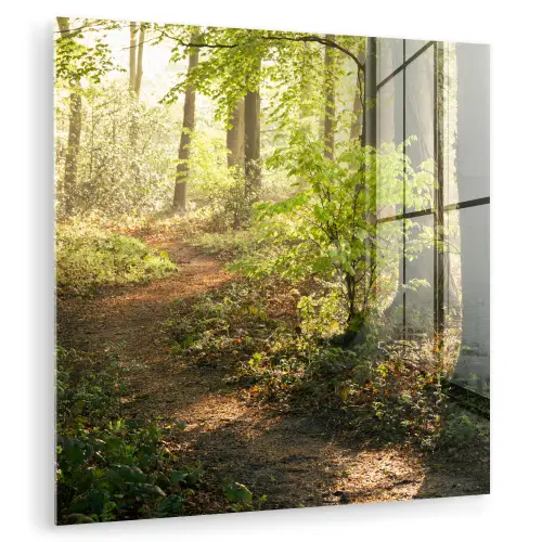 Bos - Bomen - Pad - Zon - Planten - Bladeren - Natuur plexiglas 5mm klein -zzzproduct_nieuw