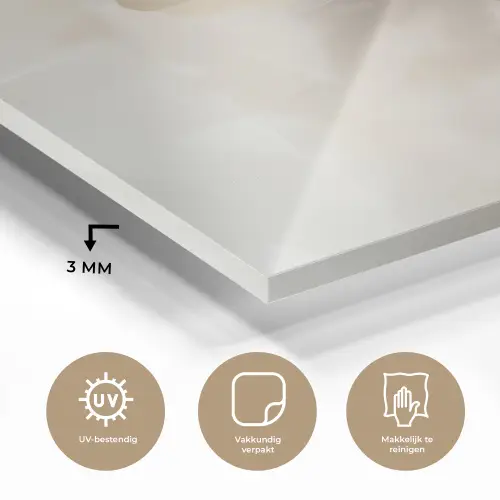 Bloem - Beige - Verf - Schaduw plexiglas 5mm klein -sfeer2