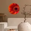 Oranje - Gerbera - Intens Wandcirkel behangsticker klein -sfeer1