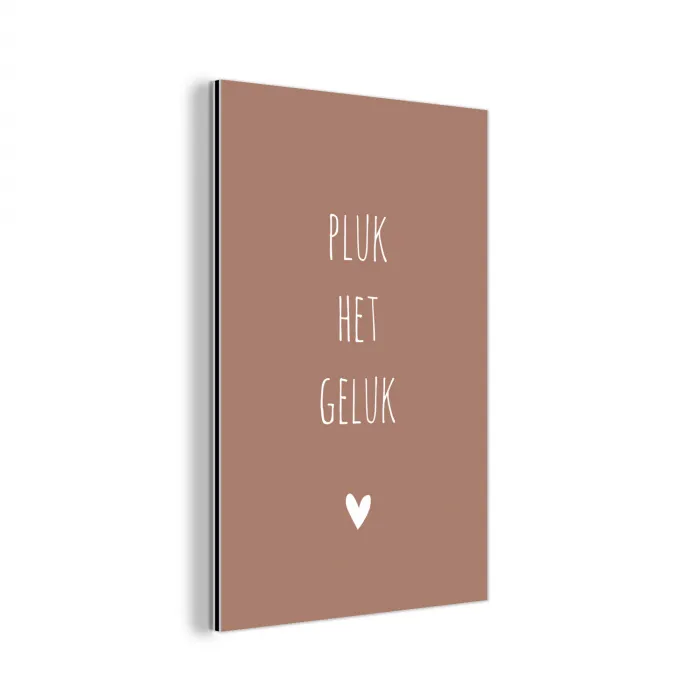 Spreuken - Pluk het geluk - Quotes aluminium wit klein -3d