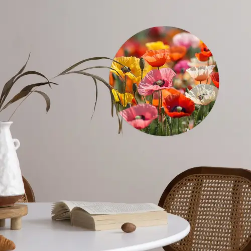 Bloemenveld - Klaprozen - Kleurrijk Wandcirkel behangsticker klein -sfeer3